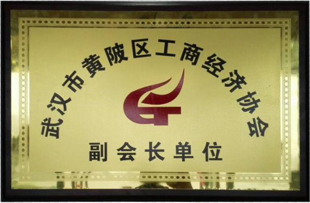 【凱美隆】黃陂區工商經濟協會副會長單位